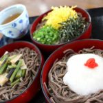 【Shimane】Izumo taisha and Buckwheat(soba)【Delicious shops】